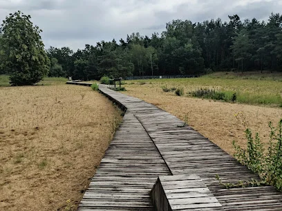Kładka przez wydmy Łuże