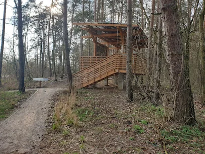 Leśna ścieżka dydaktyczna w Pomiechówku