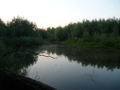 Rezerwat Ławice Kiełpińskie
