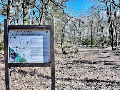Trasa kolarska "Rolnicza"